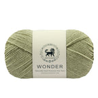 NESTNHAVEN,Wonder,Poly Yarn Supersoft Hand Knitting Wool Ball,(1 Ball/100 Gram Each) Ball Suitable For Craft,Crochet,Amigurumi,Garments,Flowers And Hobby Projects,2 Fine , Shade - Sage Green