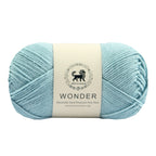NESTNHAVEN, Wonder , Poly Yarn Supersoft Hand Knitting Wool Ball, (1 Ball/100 Gram Each) Ball Suitable for Craft, Crochet, Amigurumi,Garments, Flowers and Hobby Projects , 2 Fine , Shade- Sky Blue