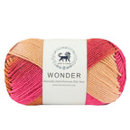 Wonder ,  Yarn Supersoft Hand Knitting Wool Ball,(1 Ball/100 Gram Each) Ball Suitable For Craft,Crochet,Amigurumi,Garments,Flowers And Hobby Projects,2 Fine , Shade - Multicolor 3