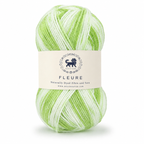 Fleure Yarn SE  – Lightweight Knitting & Crochet acrylic Yarn , 100 grams  | Nest-N Haven | Shade - Green Apple Swirl