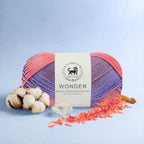Wonder ,  Yarn Supersoft Hand Knitting Wool Ball,(1 Ball/100 Gram Each) Ball Suitable For Craft,Crochet,Amigurumi,Garments,Flowers And Hobby Projects,2 Fine , Shade - Multicolor 2