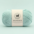 NESTNHAVEN,Wonder,Poly Yarn Supersoft Hand Knitting Wool Ball,(1 Ball/100 Gram Each) Ball Suitable For Craft,Crochet,Amigurumi,Garments,Flowers And Hobby Projects,2 Fine , Shade - Turquoise