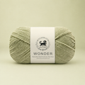 NESTNHAVEN,Wonder,Poly Yarn Supersoft Hand Knitting Wool Ball,(1 Ball/100 Gram Each) Ball Suitable For Craft,Crochet,Amigurumi,Garments,Flowers And Hobby Projects,2 Fine , Shade - Sage Green