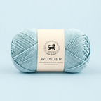 NESTNHAVEN, Wonder , Poly Yarn Supersoft Hand Knitting Wool Ball, (1 Ball/100 Gram Each) Ball Suitable for Craft, Crochet, Amigurumi,Garments, Flowers and Hobby Projects , 2 Fine , Shade- Sky Blue