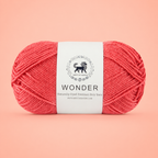 NESTNHAVEN,Wonder,Poly Yarn Supersoft Hand Knitting Wool Ball,(1 Ball/100 Gram Each) Ball Suitable For Craft,Crochet,Amigurumi,Garments,Flowers And Hobby Projects,2 Fine , Shade - Coral