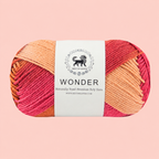 Wonder ,  Yarn Supersoft Hand Knitting Wool Ball,(1 Ball/100 Gram Each) Ball Suitable For Craft,Crochet,Amigurumi,Garments,Flowers And Hobby Projects,2 Fine , Shade - Multicolor 3