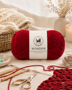 NESTNHAVEN,Wonder,Poly Yarn Supersoft Hand Knitting Wool Ball,(1 Ball/100 Gram Each) Ball Suitable For Craft,Crochet,Amigurumi,Garments,Flowers And Hobby Projects,2 Fine , Shade - Cranberry Red