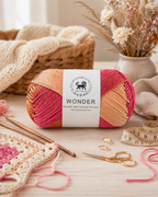 Wonder ,  Yarn Supersoft Hand Knitting Wool Ball,(1 Ball/100 Gram Each) Ball Suitable For Craft,Crochet,Amigurumi,Garments,Flowers And Hobby Projects,2 Fine , Shade - Multicolor 3
