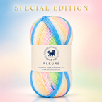 Fleure Yarn SE  – Lightweight Knitting & Crochet acrylic Yarn , 100 grams  | Nest-N Haven | Shade - Rainbow Sorbet