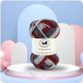 Horizon Naturally Dyed Fibre Yarn (100 gram) -  Multicolor 8