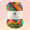 Fatboy Chunky Naturally Dyed Fibre Yarn (100 gram) - Multicolor 12