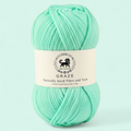 Graze Hand Knitting and Crochet Bulky Yarn (100 gram) - Mint Green