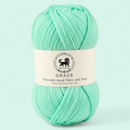 Graze Hand Knitting and Crochet Bulky Yarn (100 gram) - Mint Green